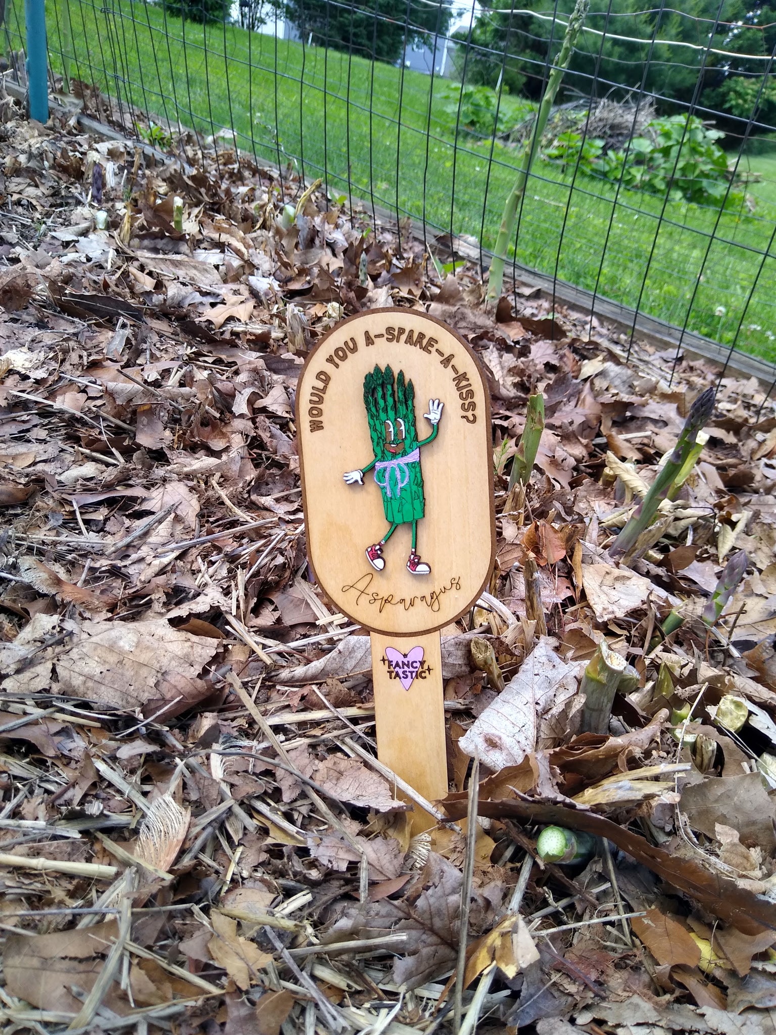 A-Spare-A-Kiss? – Asparagus Garden Marker