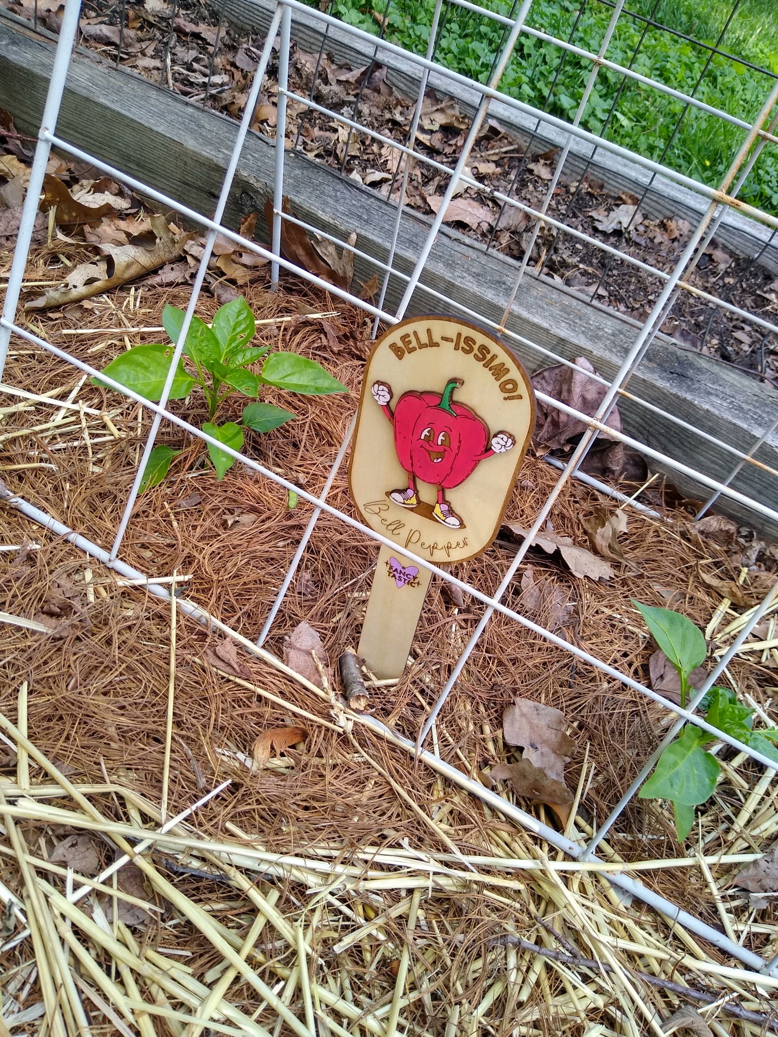 Bell-issimo! – Bell Pepper Garden Marker Red