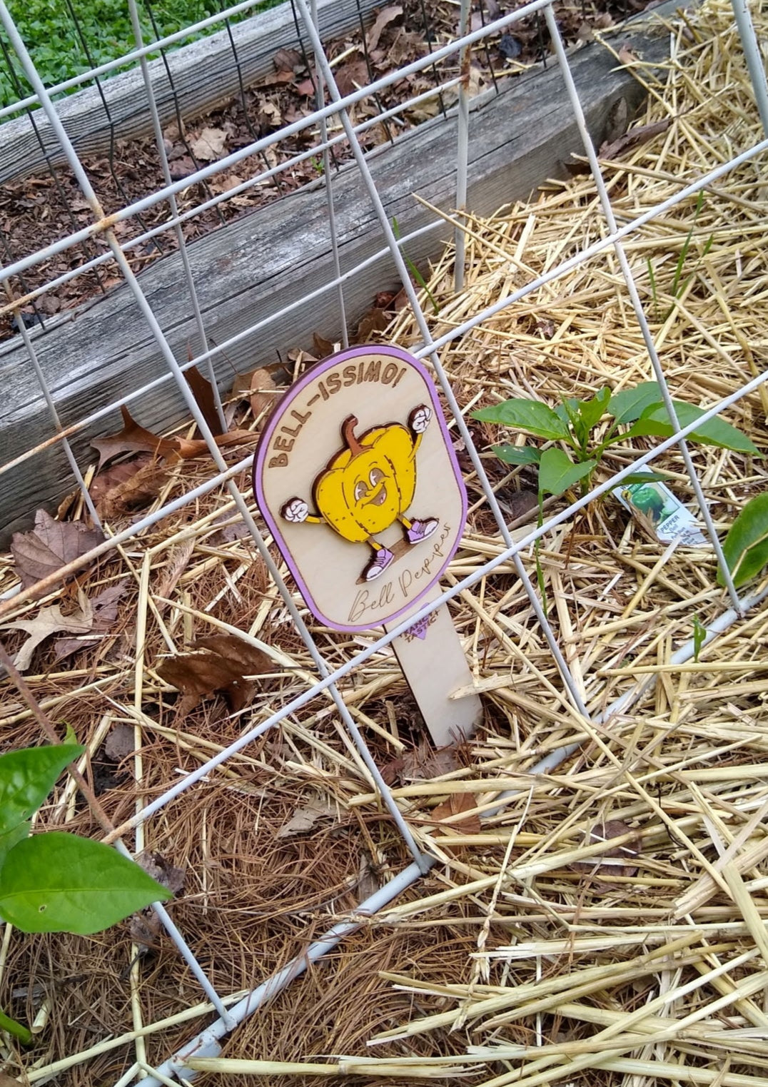 Bell-issimo! – Bell Pepper Garden Marker Yellow