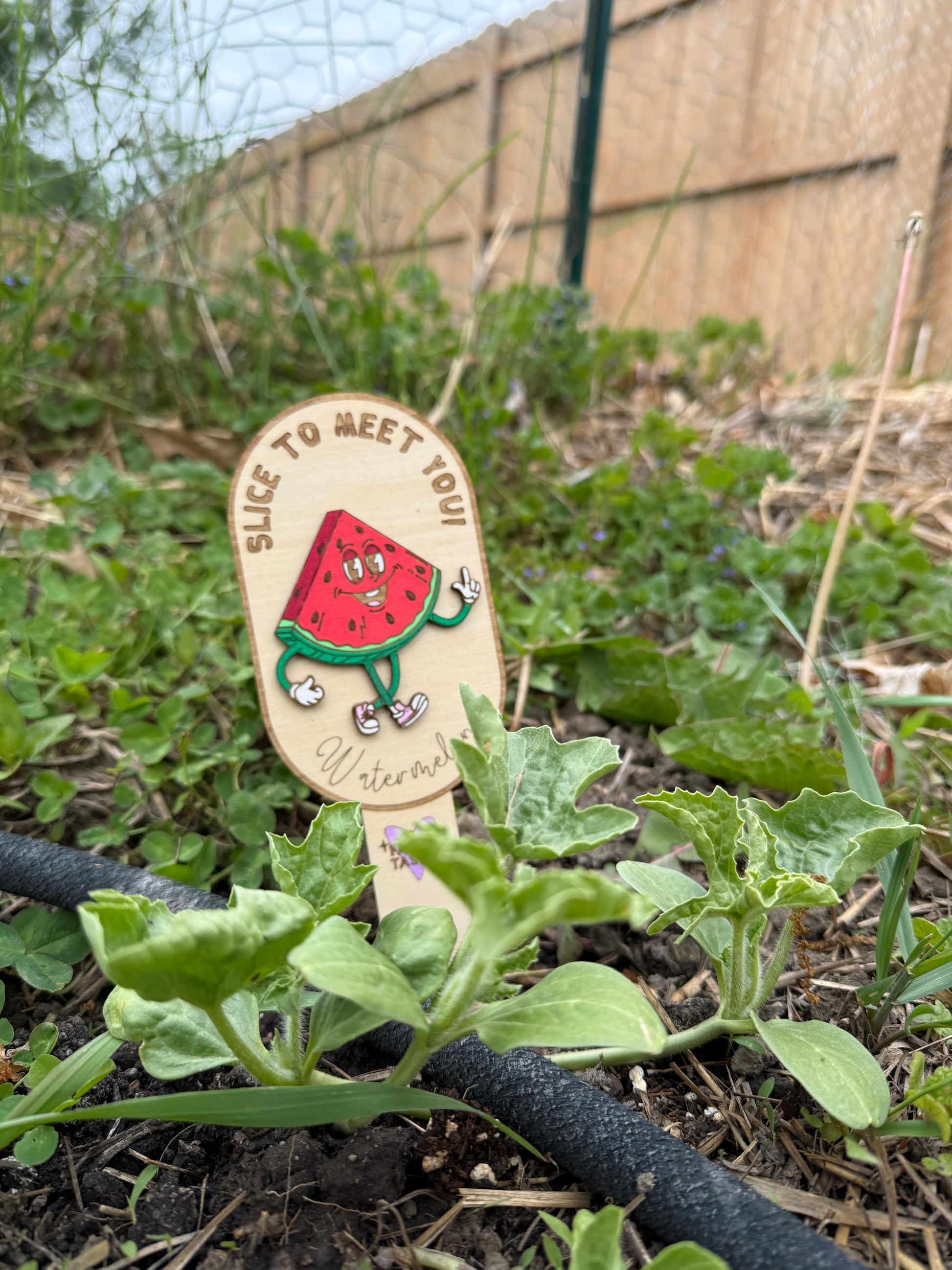 Slice to Meet You – Watermelon Garden Marker